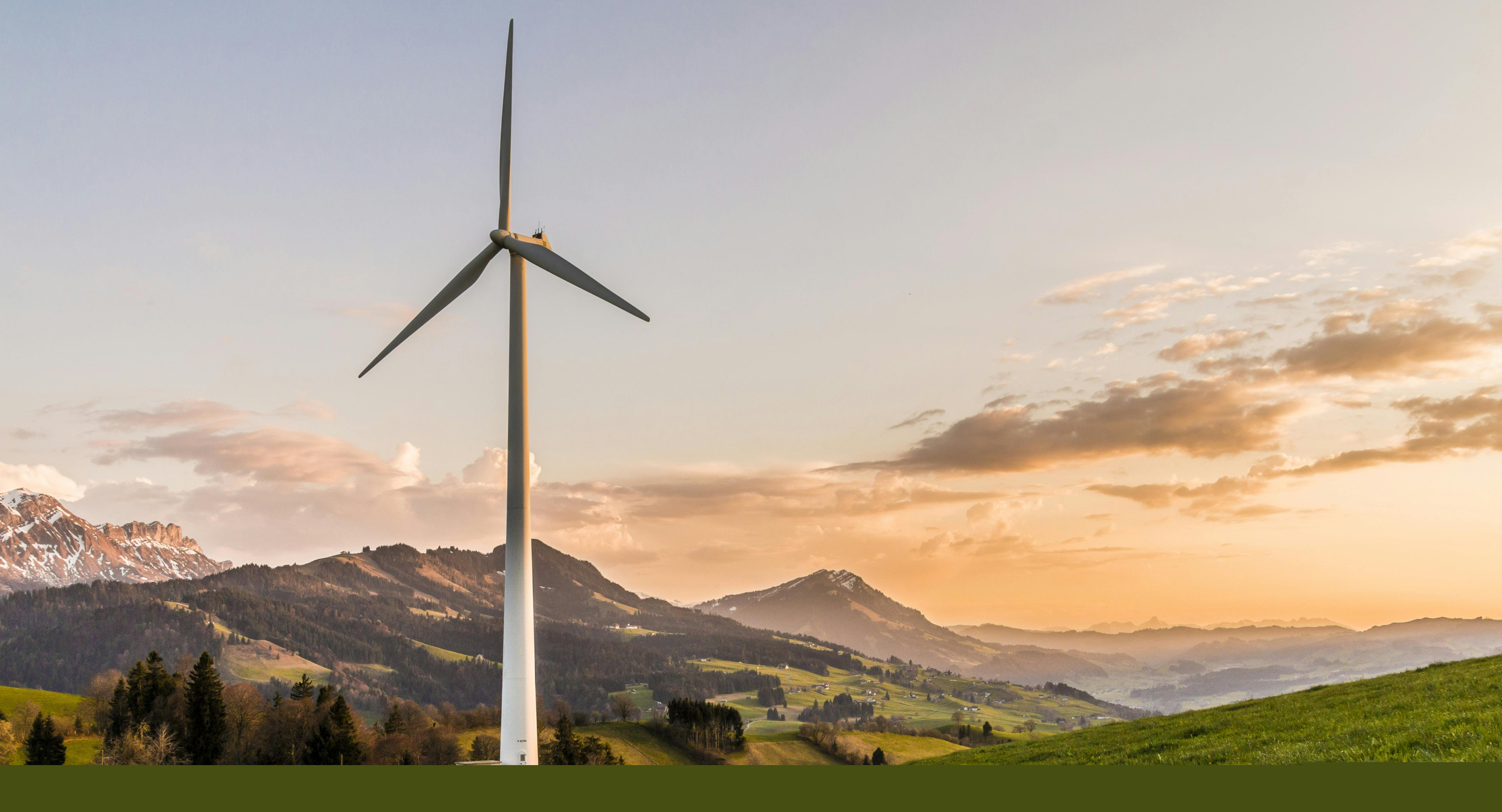 Sustainable Digital Future
